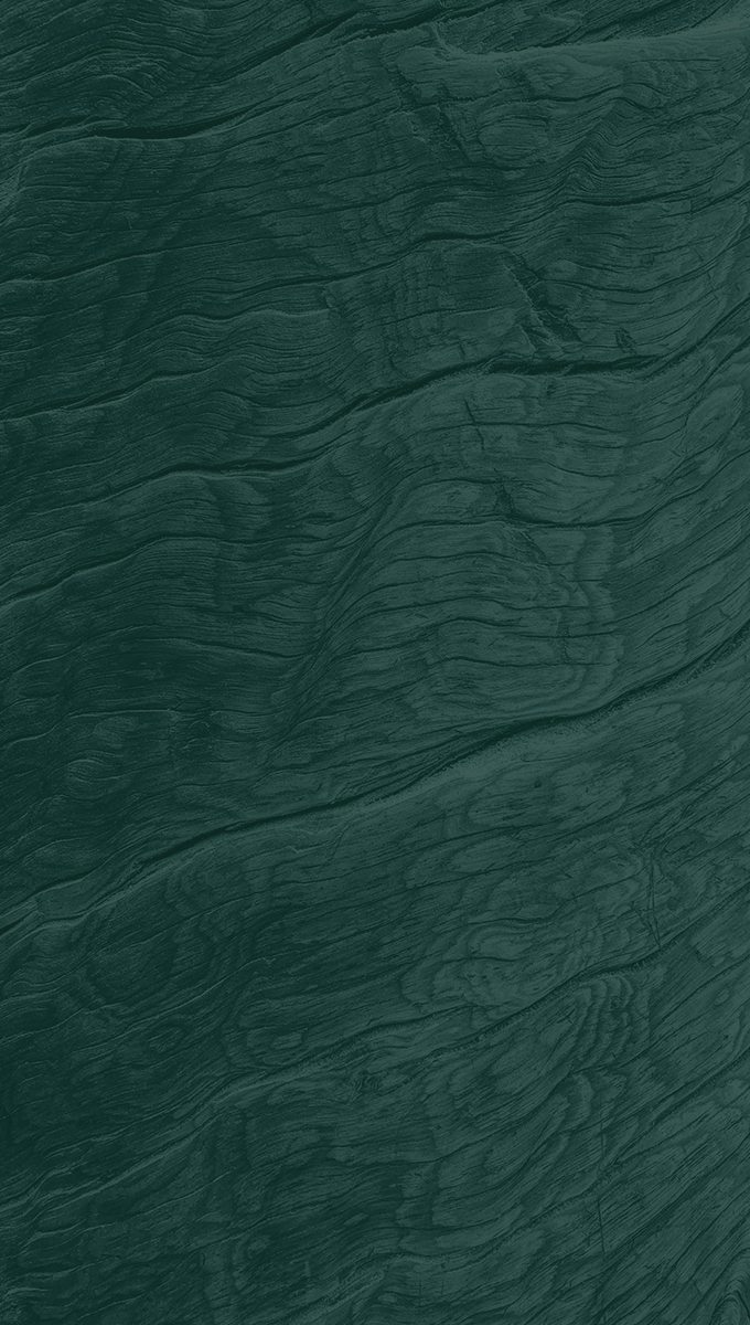Artistic wood texture pattern
