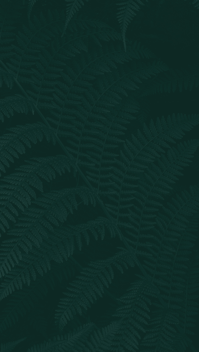 Artistic leaf pattern
